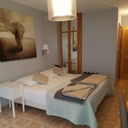 Diversos Trabalhos efectuados