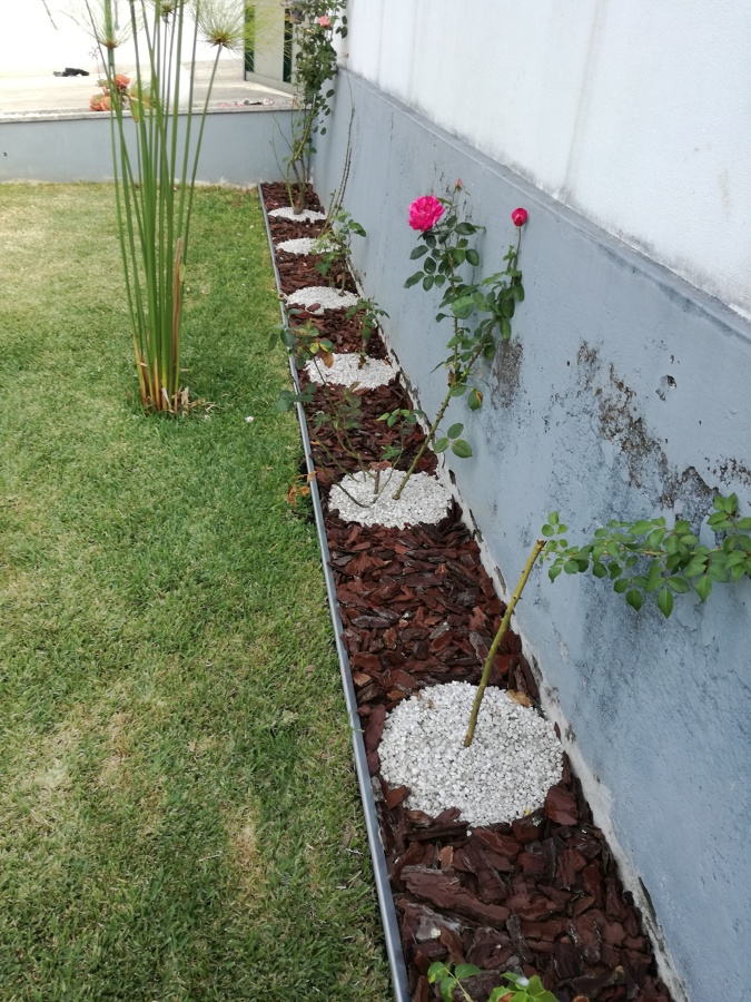 Construção de canteiro para proteção das roseiras