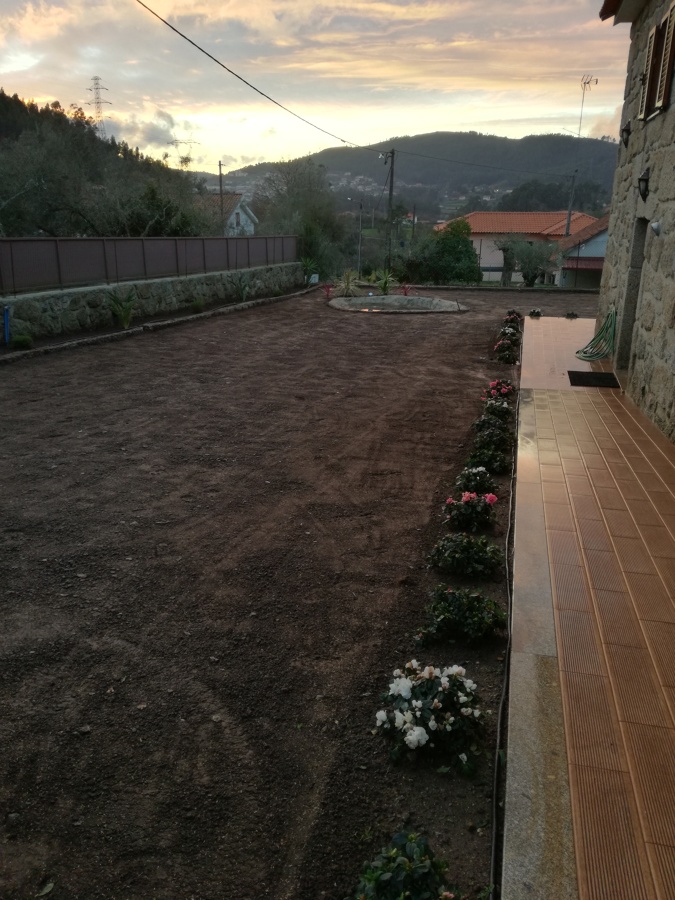 Construção de jardim e sebe em azalias