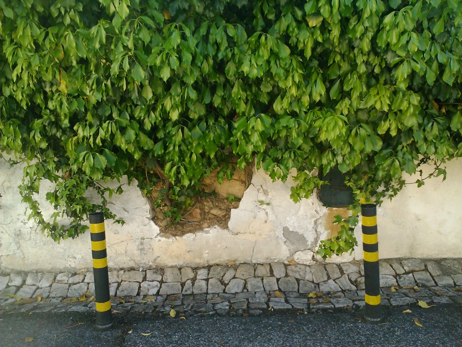 Muro de vedação