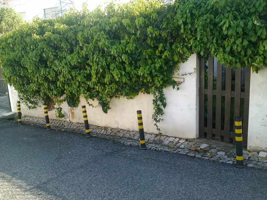 Muro de vedação