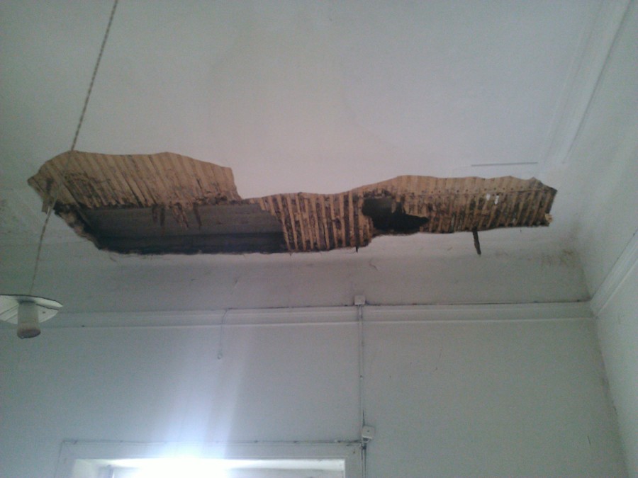 Tetos piso 1