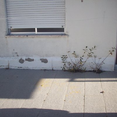 Reparação, impermeabilização de terraço