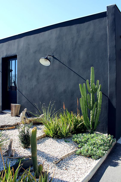 A moda dos cactos, no exterior