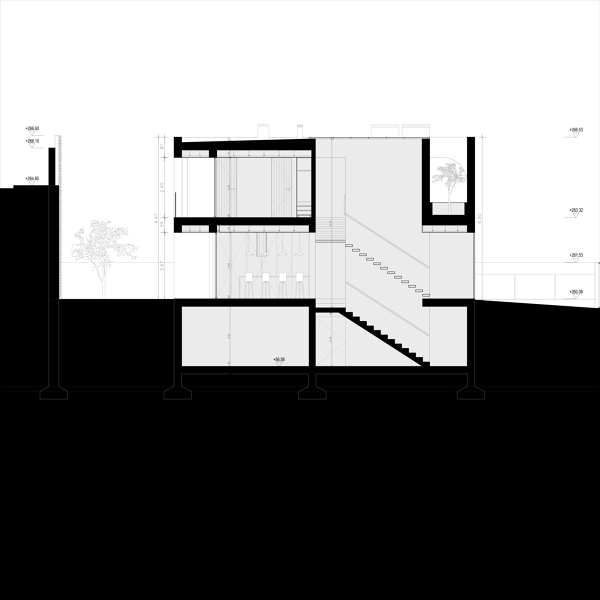 Corte Longitudinal 02