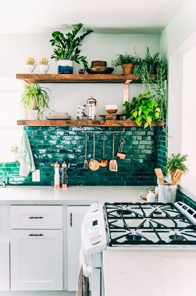 Verde e vida