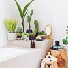Planta casa