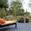 São três areas distintas um jardim de cactos os outros dois jardins mediterrânicos