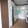 Lacado branco com castanho