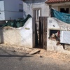 Muro e jardins limpos