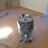 Pintura