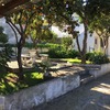 Manutenção De Jardim