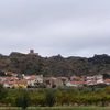 Moliceiro