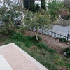 Jardim