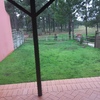 Construcao de jardim