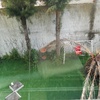 Limpar jardim