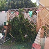 Reforma de jardim