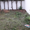 Construção De Jardim