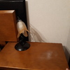 Reparat a mesaj de cabeceira