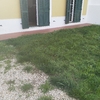 Projeto De Paisagismo