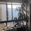 Janelas e persianas novas em apartamento matosinhos