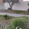 Construção De Jardim