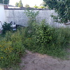 Manutenção De Jardim
