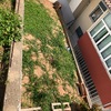 Nivelamento De Terreno