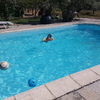 Revestimento De Piscina