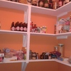 Pintura madeiras 23 a 28 janeiro