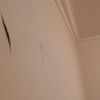 Remodelação casa/cave