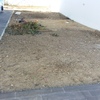 Pavimentar quintal