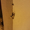 Reparar capotto de parede exterior