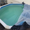 Substituição de liner de piscina