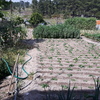 Projeto De Casa