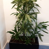 Outros Trabalhos De Jardinagem