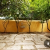 Construção De Jardim