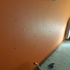 Pintar Casa