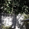 Manutenção De Jardim