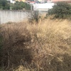 Outros Trabalhos De Jardinagem