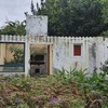 Manutenção De Jardim