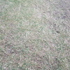 Manutenção De Jardim