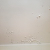 Pintar Casa