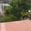 Manutenção jardim