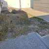 Construção De Jardim