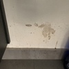Remover humidades e pintar pequenas áreas
