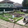 Reformar jardim de 40 m2