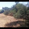 Limpeza De Terreno