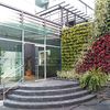 Outros Trabalhos De Jardinagem