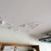 Pintar Casa
